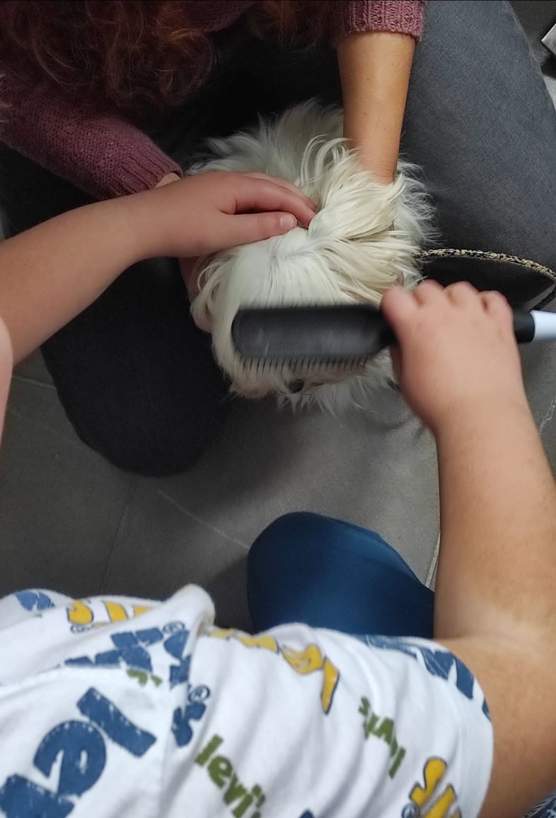 Bambini che si prendono cura di un cane durante un laboratorio